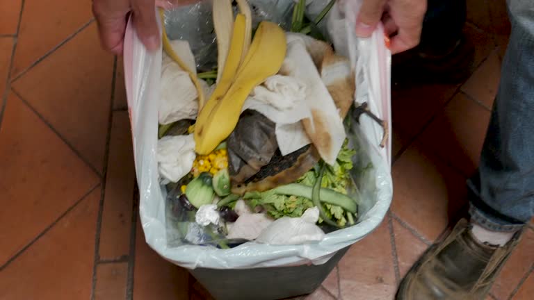 Best Basement Cleanout  in Staunton, VA